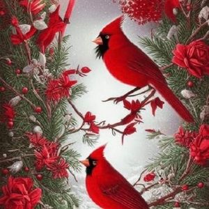 Meet your Posher, Gail